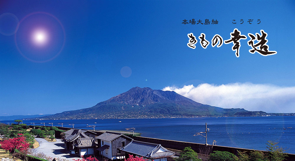 本場大島紬 着物専門店「きもの幸造本店」